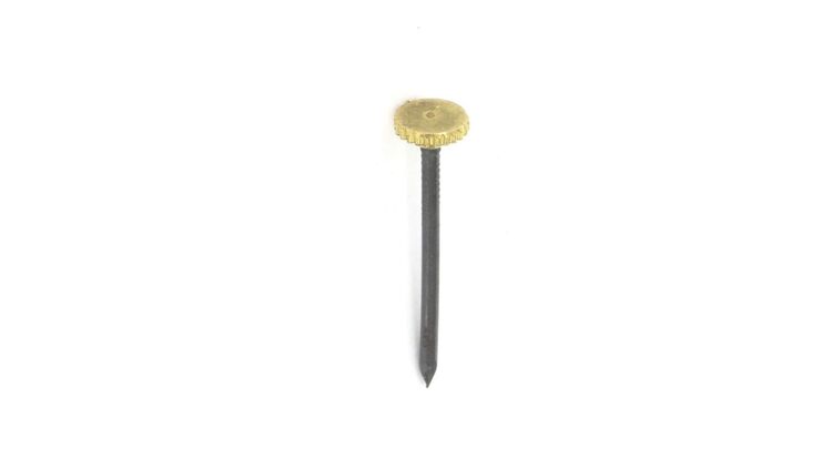 S6205 BRASS HEAD PICTURE PIN